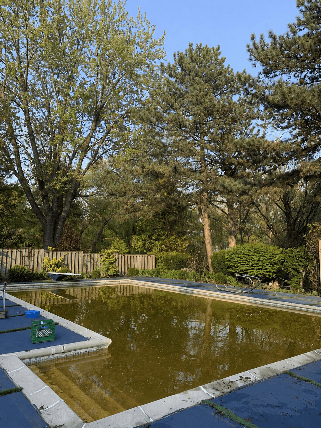 Pool with heavy algae growth before Pool Perfect service