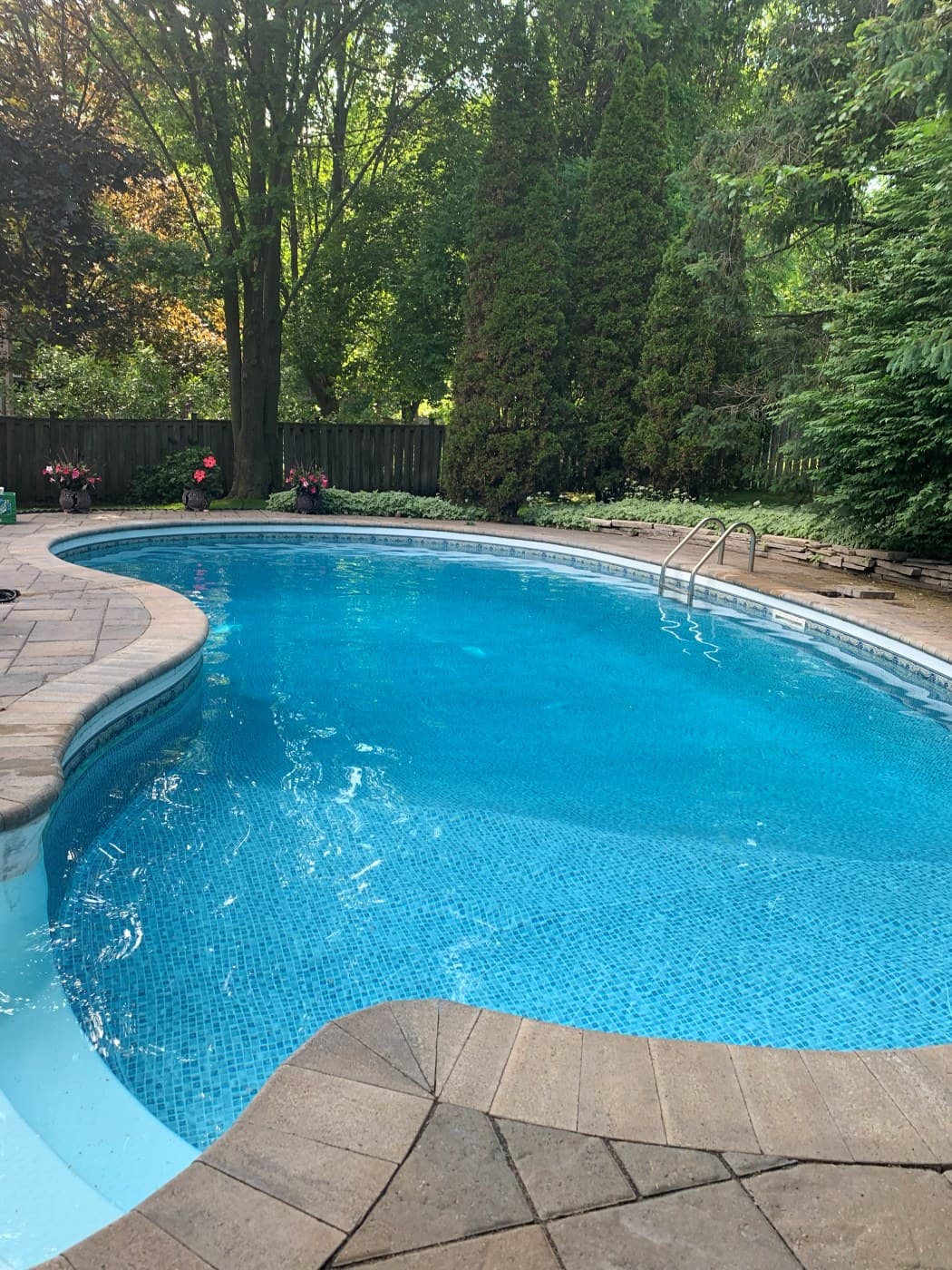 Freeform kidney pool with stone surround, summer maintenance